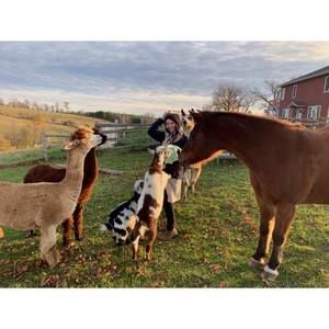 Meet your Posher, Dona